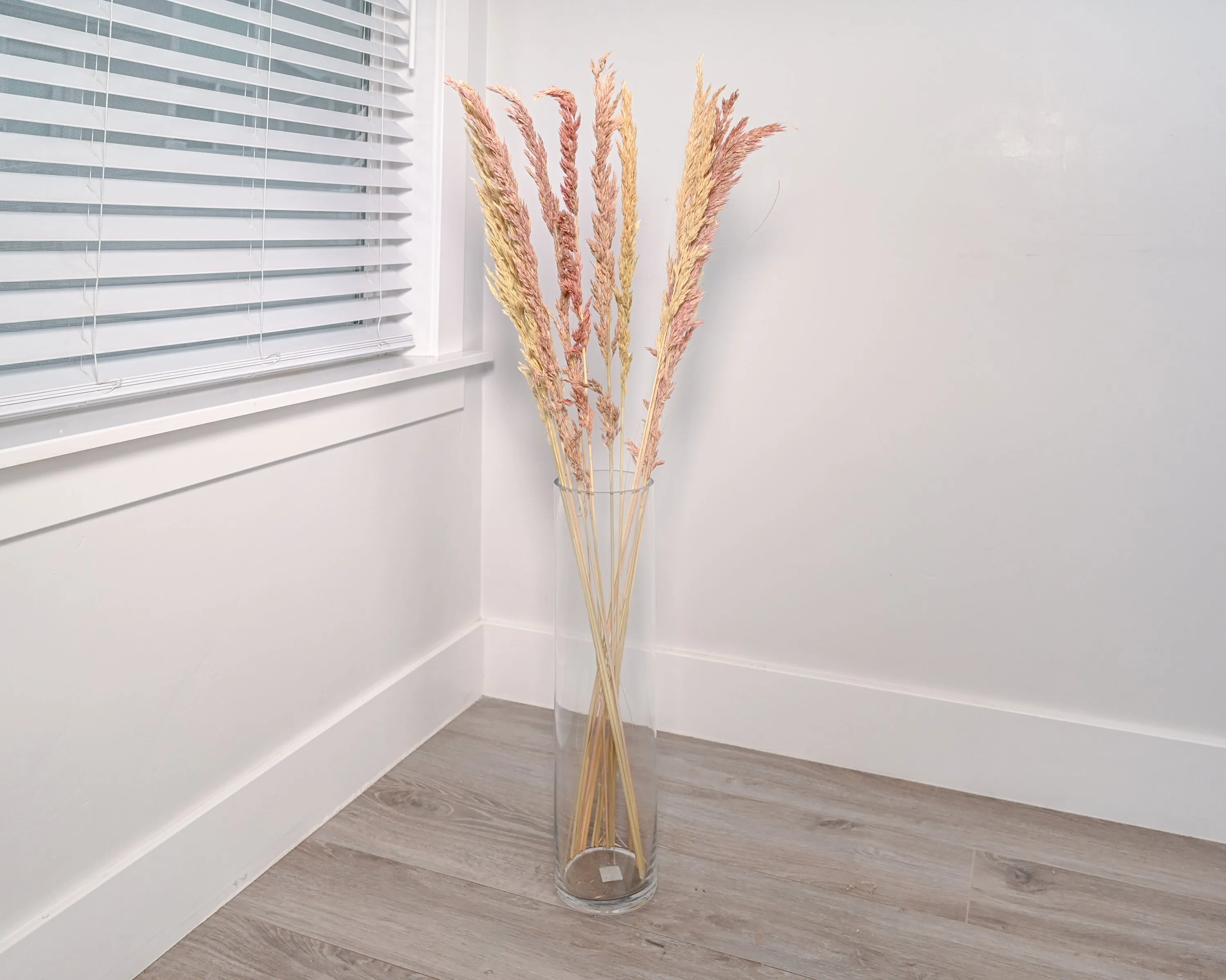 Dried Wild Oats - Decorative
