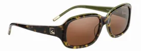 Transitions Drivewear DW6